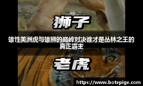 爱游戏ayx官方网站